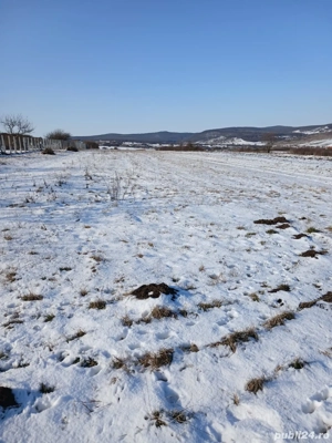 Teren de vânzare în vecinătate cu Daia Nouă - imagine 2