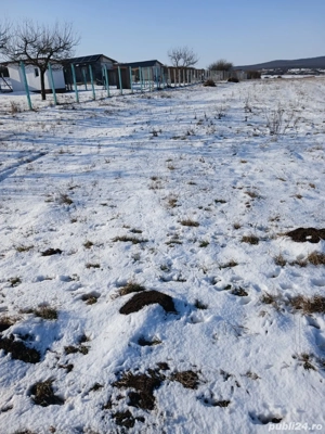 Teren de vânzare în vecinătate cu Daia Nouă