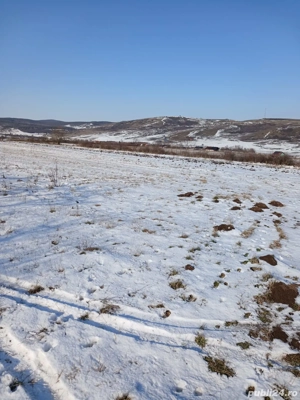 Teren de vânzare în vecinătate cu Daia Nouă - imagine 3