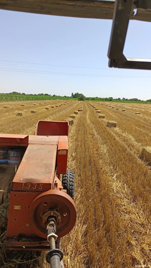 Baloti de vanzare - imagine 2