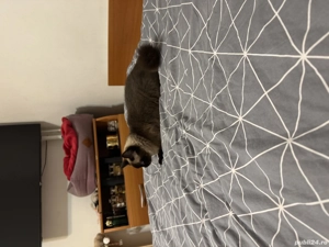 De inchiriat! Apartament 2camere,D,Baza III - Sylk District 