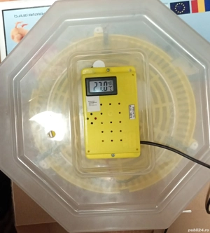 Incubator  - imagine 2