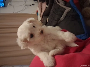 Buna ziua! Detalii la nr de tel