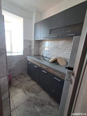 Apartament 1 camera Alexandru cel Bun - imagine 2