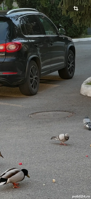 Anvelope All Seazon - imagine 4