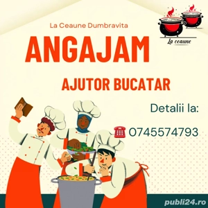 Angajam Ajutor Bucatar