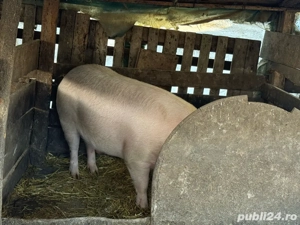 de vanzare  - imagine 4