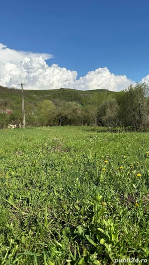 Teren intravilan com. Vultureni,loc. BADESTI - imagine 3
