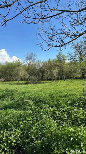 Teren intravilan com. Vultureni,loc. BADESTI - imagine 2