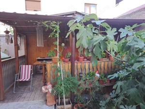 Casa de vanzare in Bragadiru - imagine 15