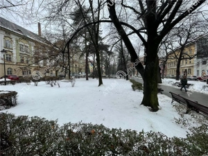 Spatiu comercial cu 2 intrari ultracentral Nicolae Balcescu din Sibiu - imagine 4