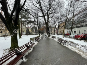 Spatiu comercial cu 2 intrari ultracentral Nicolae Balcescu din Sibiu - imagine 3