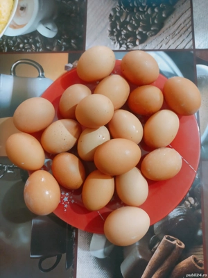 Gaini de vânzare  - imagine 2