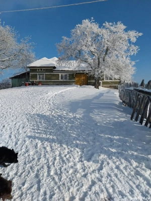 Casa cu 6 ha de teren 