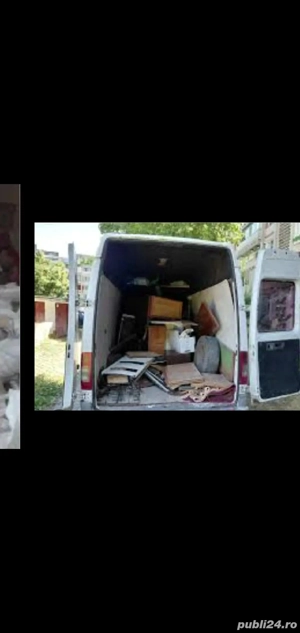 trasport molze - imagine 3