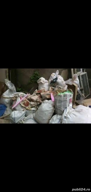 trasport molze - imagine 2