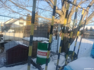 De vânzare Poartă.