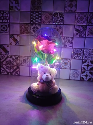 Cupola Magică cu Trandafir și Ursuleț 