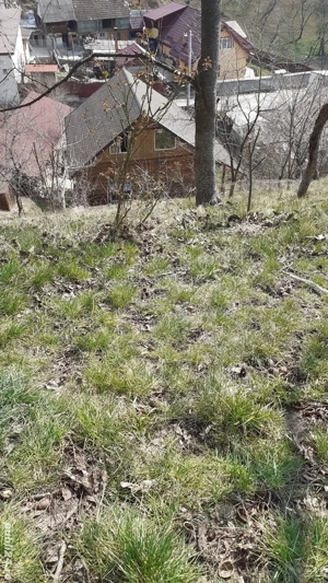 Casa si teren 1200mp langa Manastirea Bistrita, Alexandru cel Bun, Neamt