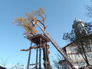  Toaletari fasonäri copaci inalti!