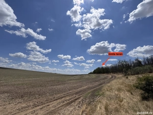 Teren agricol de vanzare 32100 mp2 Foltesti, jud. Galati