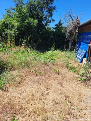 Casă Oncea str.Paleului 2 camere,hol,bucătărie,terasă,SC 80mp,ST 800mp - imagine 8