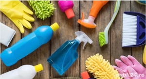 Curatenie profesionala 