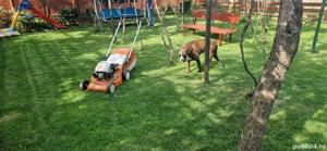 Chirie casa cu 4 camere, curte cu mult spatiu verde in zona Episcopia - imagine 3