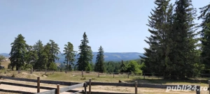 Teren Maguri-Racatau - imagine 4