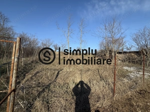 Casa parter Bucovat - imagine 10