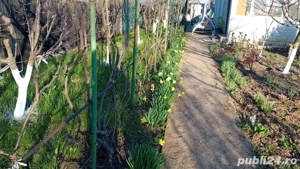 De vanzare casa cu 2000m patrati - imagine 2