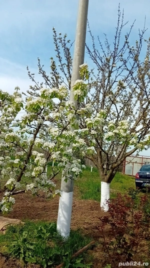 De vanzare casa cu 2000m patrati - imagine 4