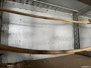 Volieră reproducție papagali,canari,turturele - imagine 3