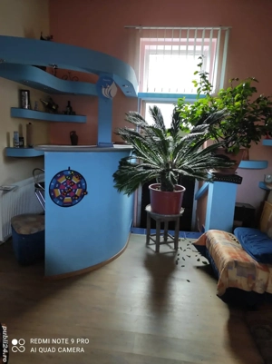 spatiu pentru diferite activitati - imagine 5