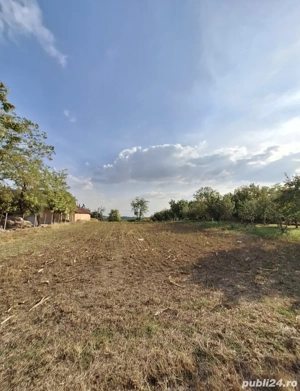 Vând teren intravilan Izvoarele, Teleorman   1500 mp - imagine 2