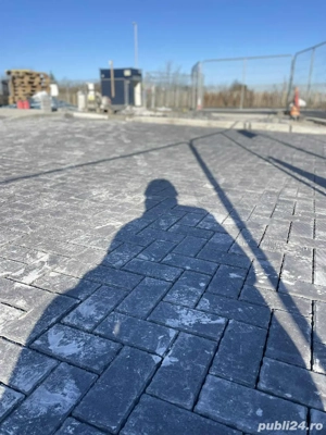 punem pavaj exemplar 