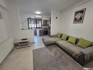 Apartament 2 camere Metalurgiei  - Lidl - imagine 16