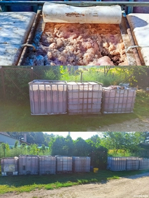 Palinca de Prune de Salaj 52 grade, Tuleu Romanesc 2024, Productie Proprie, Livrare Rapida  - imagine 5