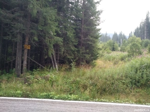 vând teren 3000 mp intravilan Lac Vidra la 3 km de partia de ski - imagine 3