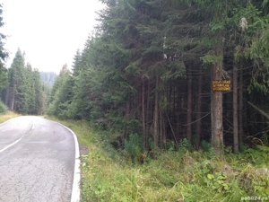 vând teren 3000 mp intravilan Lac Vidra la 3 km de partia de ski - imagine 5