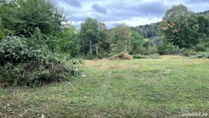 Teren Telega Prahova, drum asfaltat - imagine 4