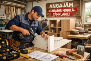 Montator mobila tamplarie