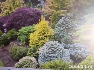 Proprietar dau in chirie teren pentru terenuri padel   tenis sau alte activitati de vanzare ambulant