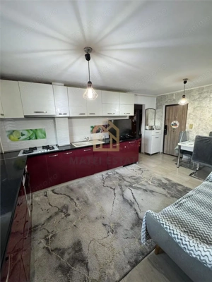 Apartament 2 camere et 4