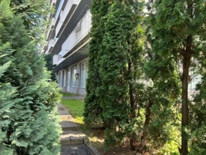 Spatiu comercial V.Alecsandri ,120 mp ,ideal activitati comerciale /cabinete - imagine 2