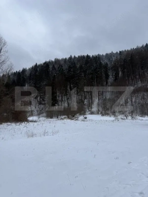 Cabană la munte în inima pădurii la 15 km de Brașov, zona Zizin - imagine 2