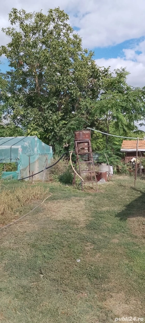 Casa la țara jud. Giurgiu, 4 camere, curte 4000 mp - imagine 9