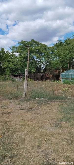 Casa la țara jud. Giurgiu, 4 camere, curte 4000 mp - imagine 5