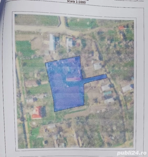 Casa la țara jud. Giurgiu, 4 camere, curte 4000 mp - imagine 10