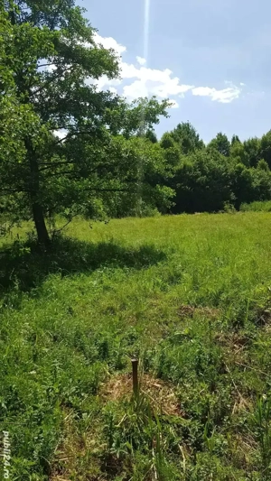 vand teren extravilan 